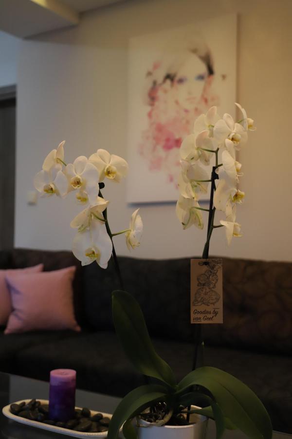 Deluxe Apartments Andreas Limenaria  Dış mekan fotoğraf